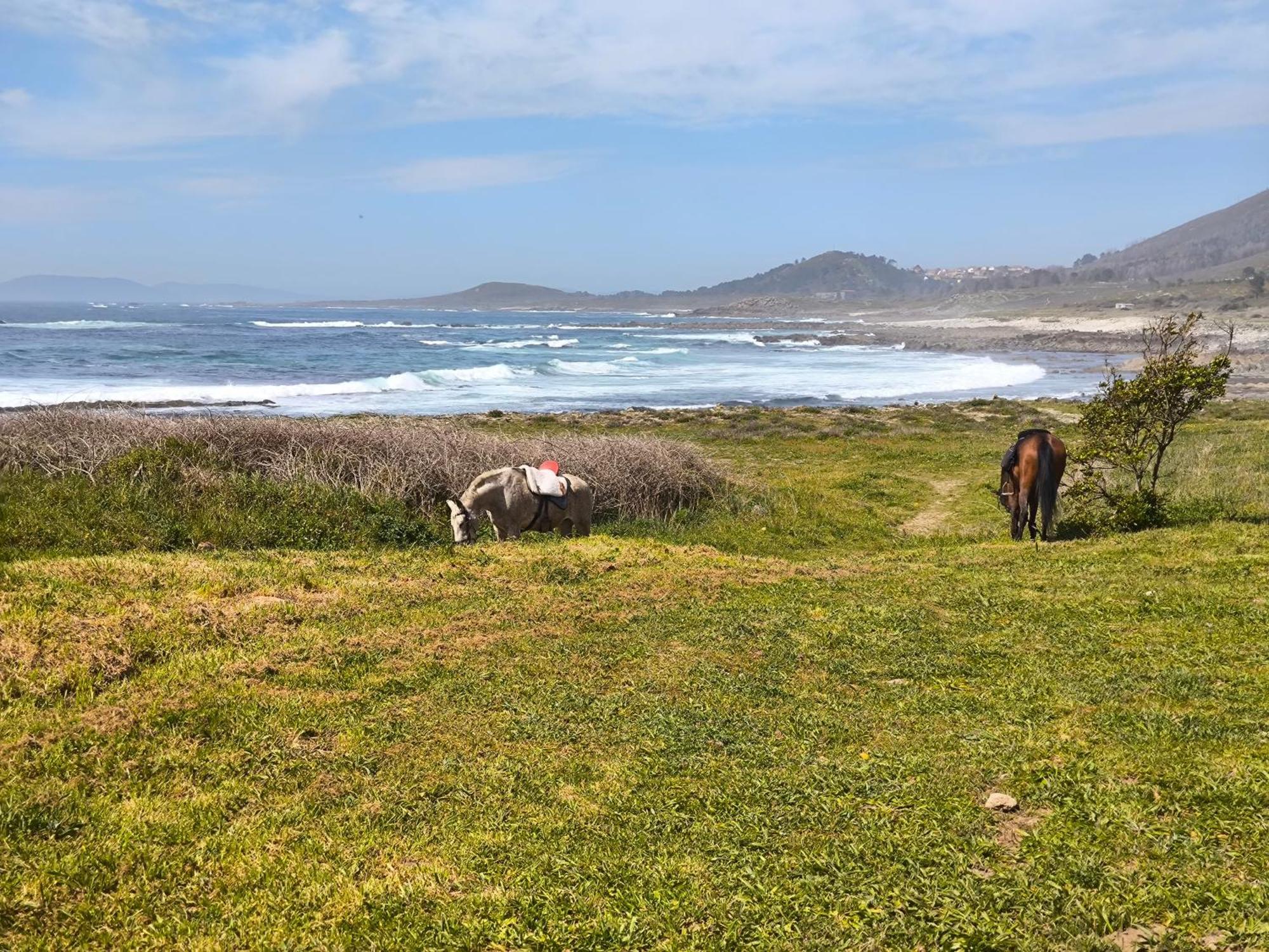 Muros Sobre El Mar エクステリア 写真
